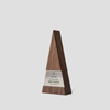 Figura Trigonum Award